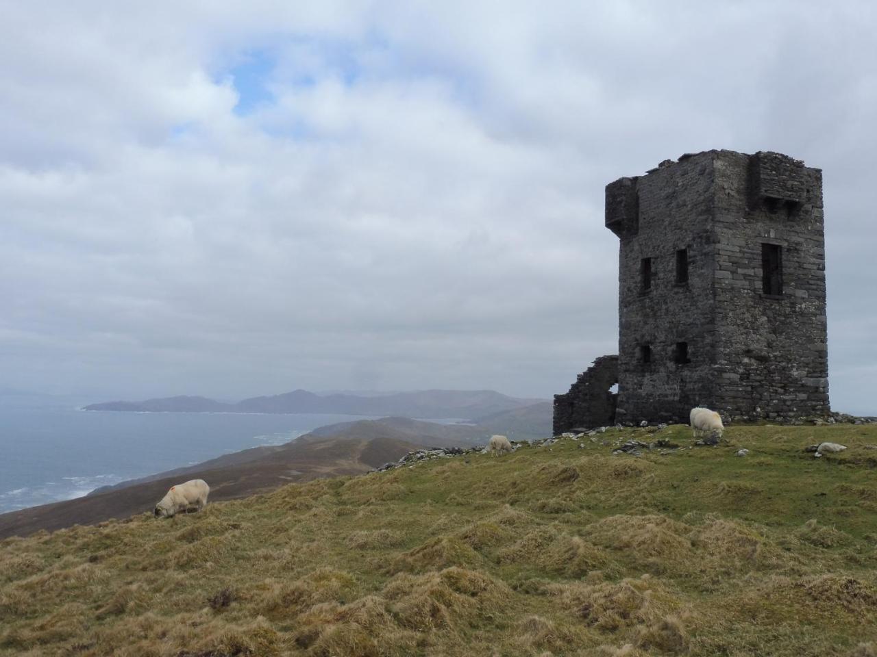 Island View House Bed & Breakfast Castletownbere Luaran gambar