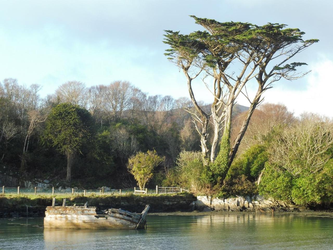 Island View House Bed & Breakfast Castletownbere Luaran gambar