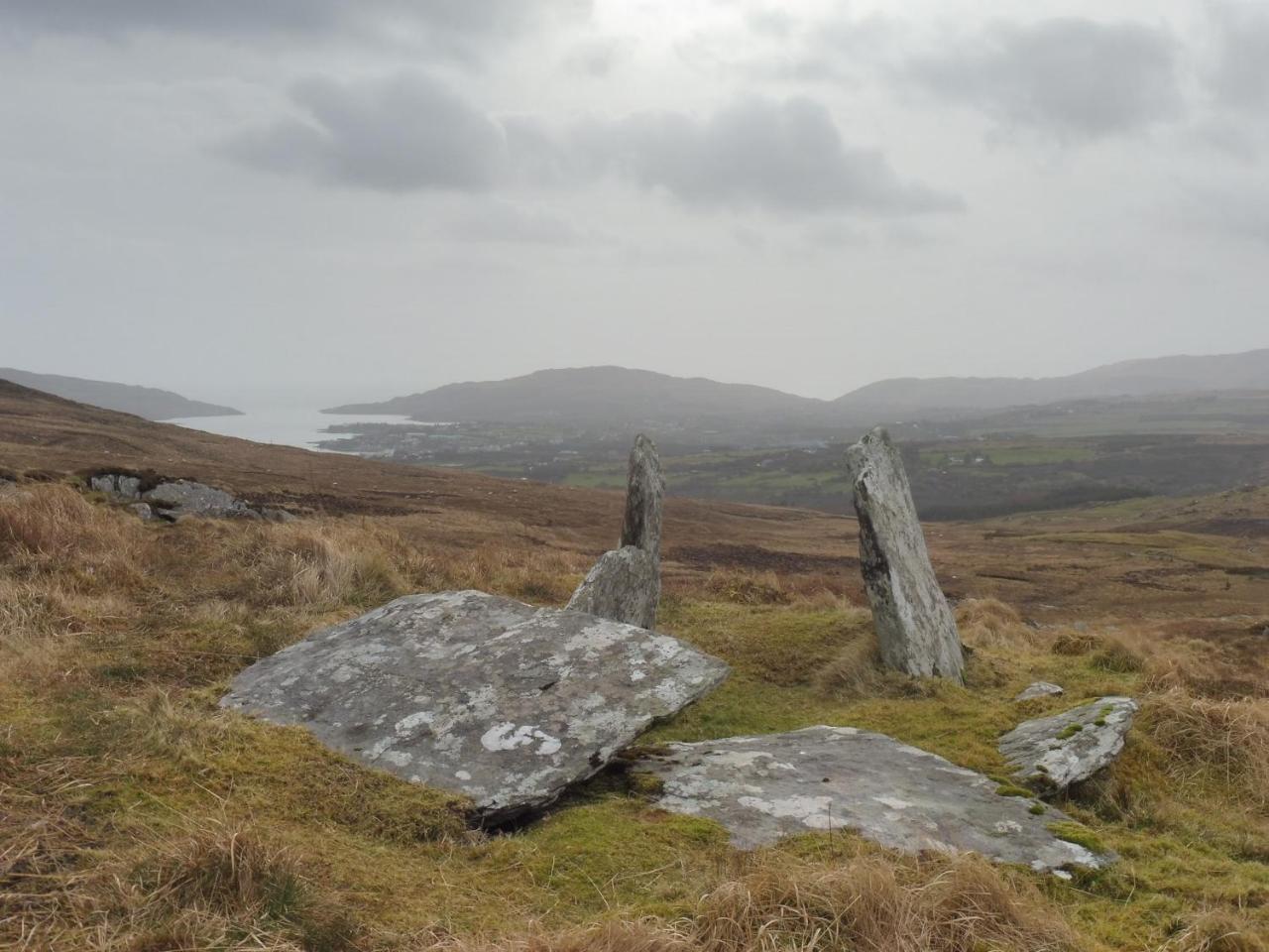 Island View House Bed & Breakfast Castletownbere Luaran gambar