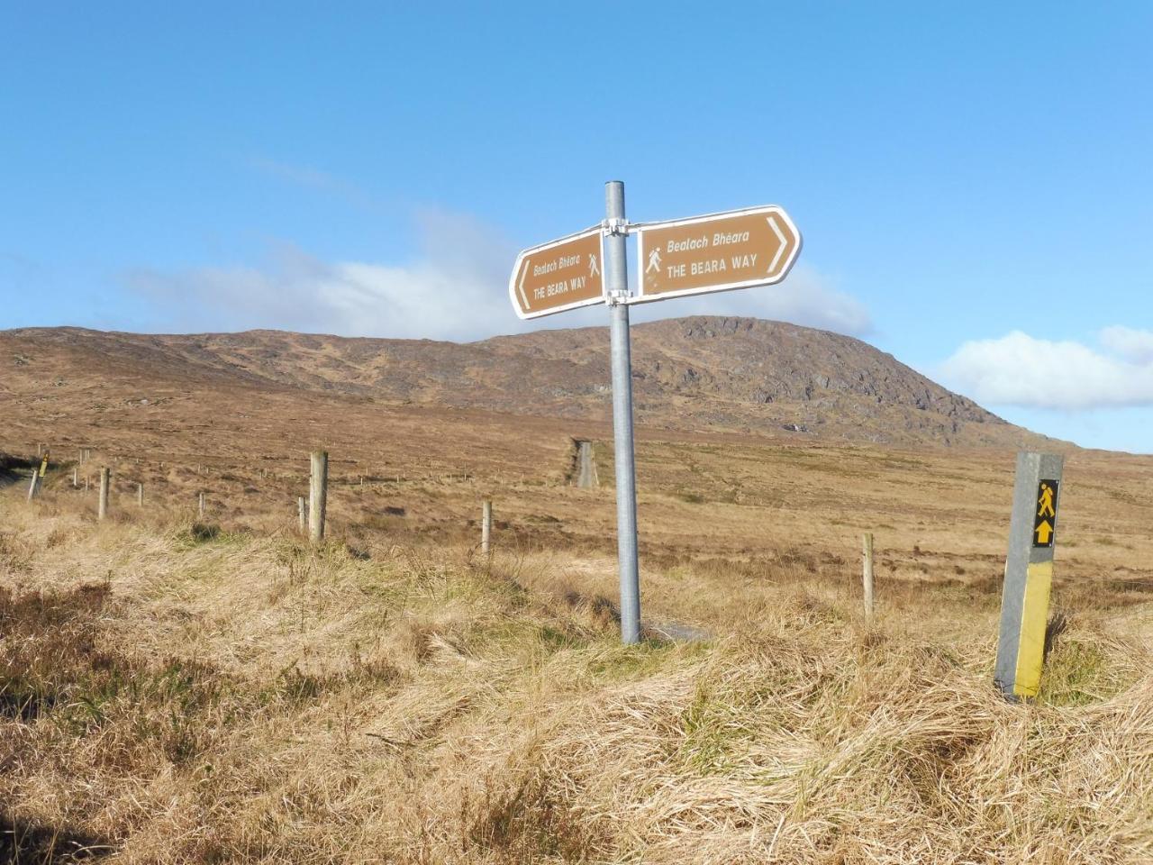 Island View House Bed & Breakfast Castletownbere Luaran gambar