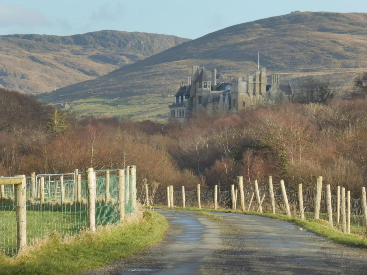 Island View House Bed & Breakfast Castletownbere Luaran gambar